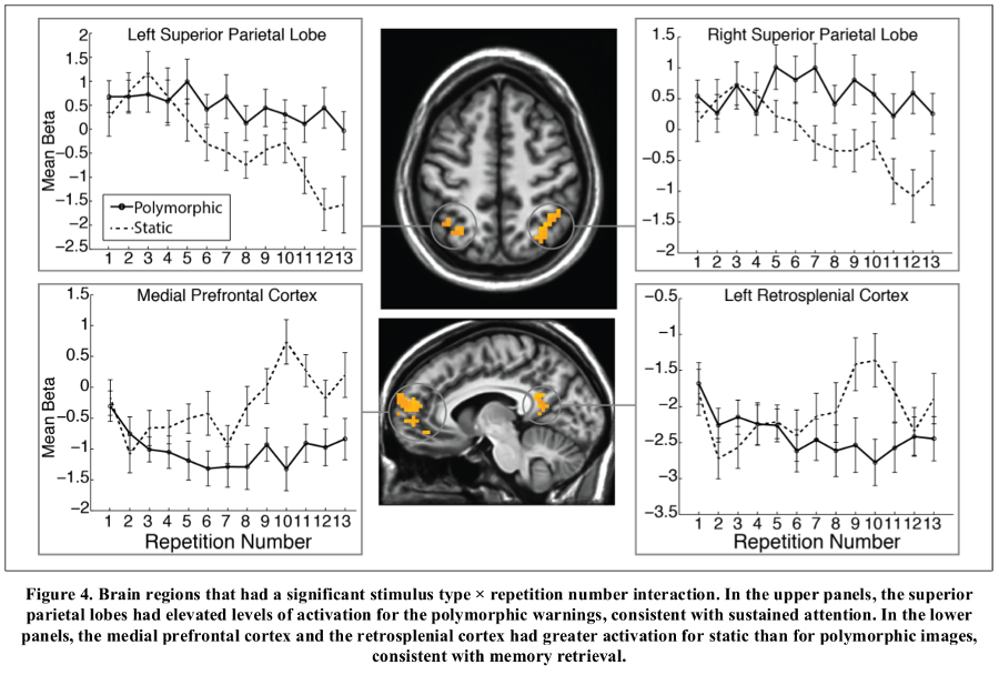 brain activity for warnings